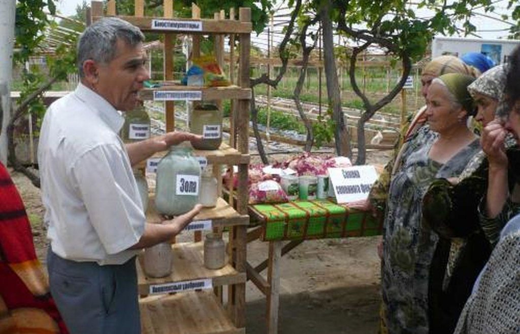 Use of phyto-pesticides