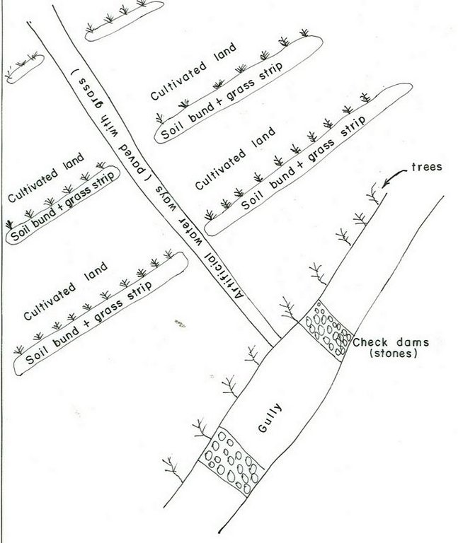 Soil bund with contour cultivation