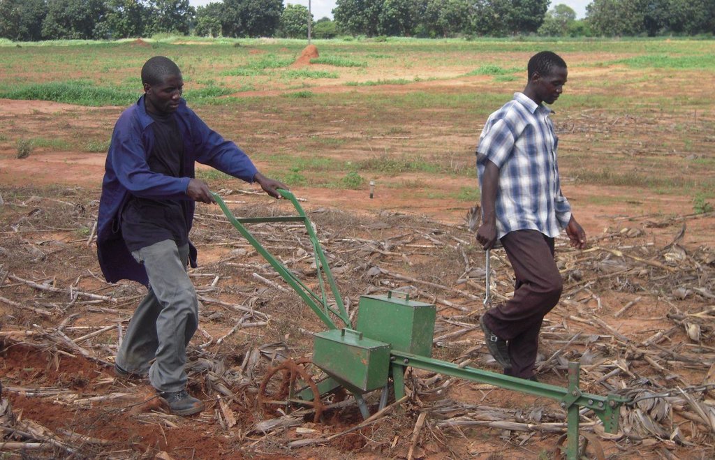 Animal Draft Zero-Tillage