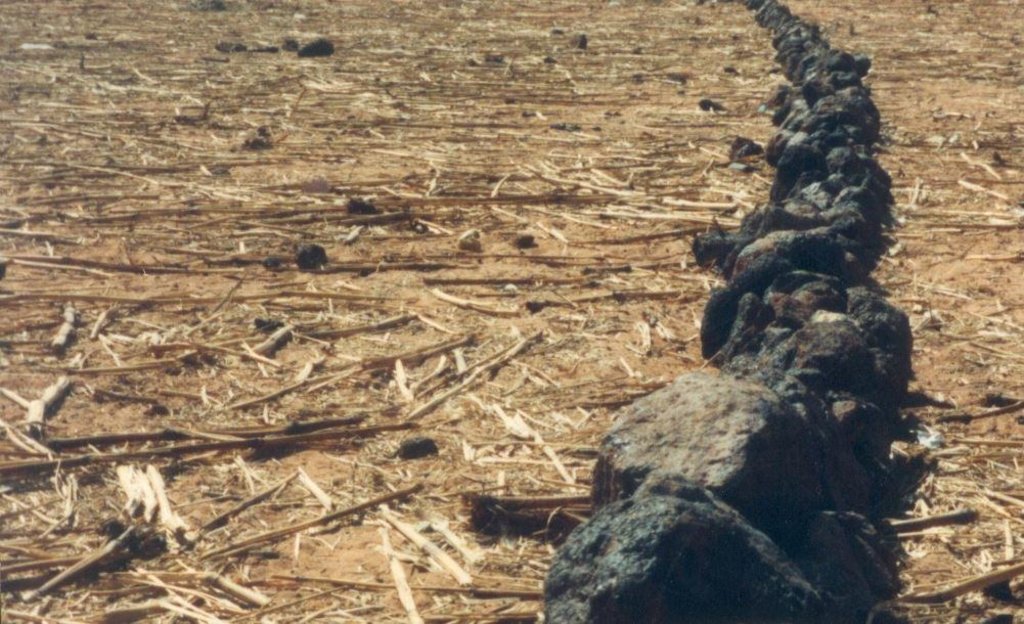 Mulching