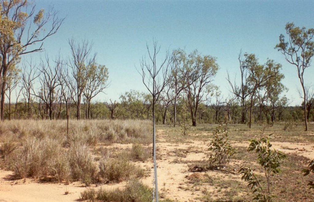 Eco-graze