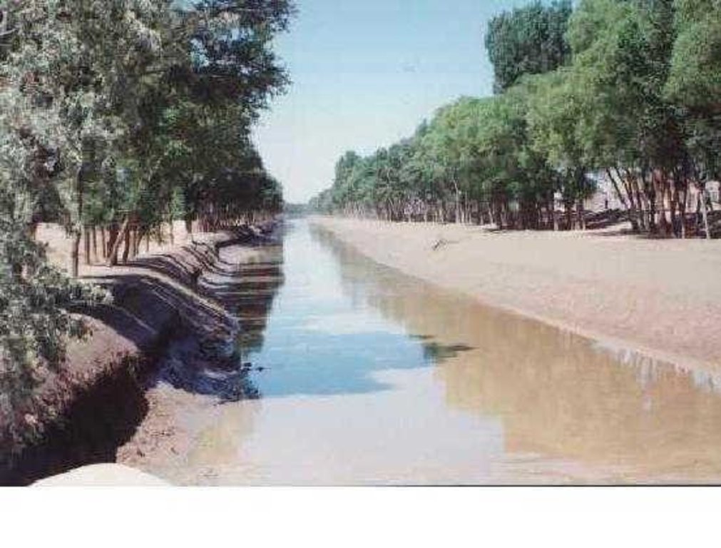 Shelterbelts