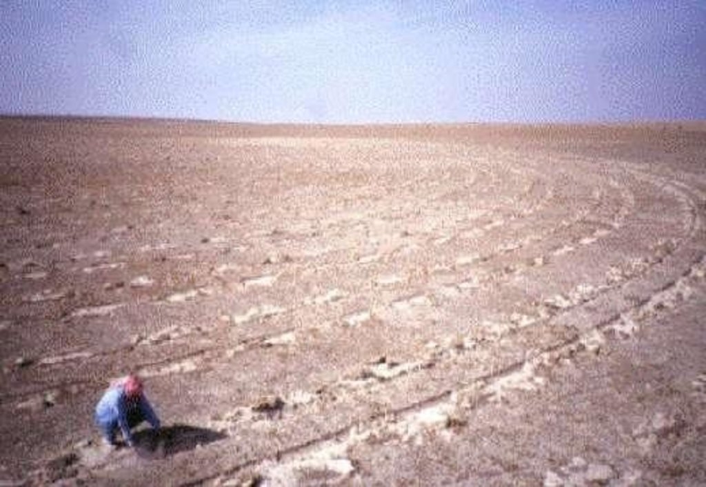 Range pitting and reseeding