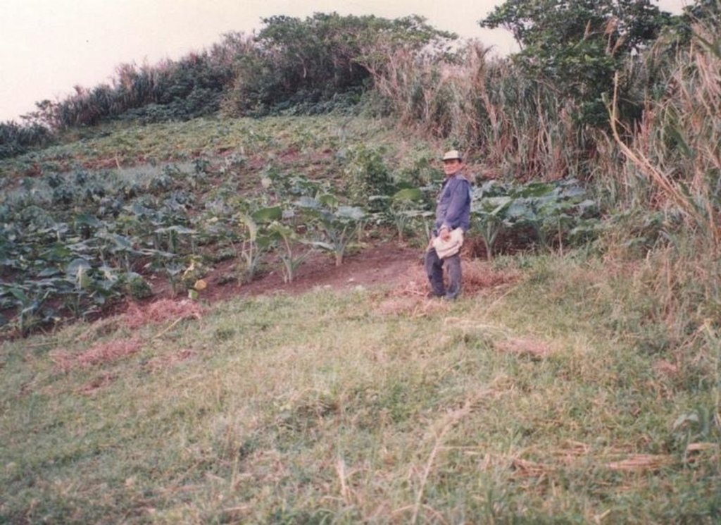 Living fences/windbreaks