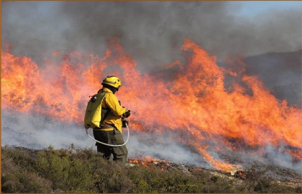 Prescribed fire