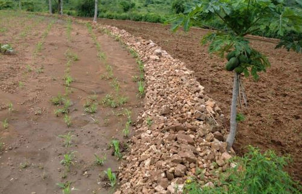 Stonelines