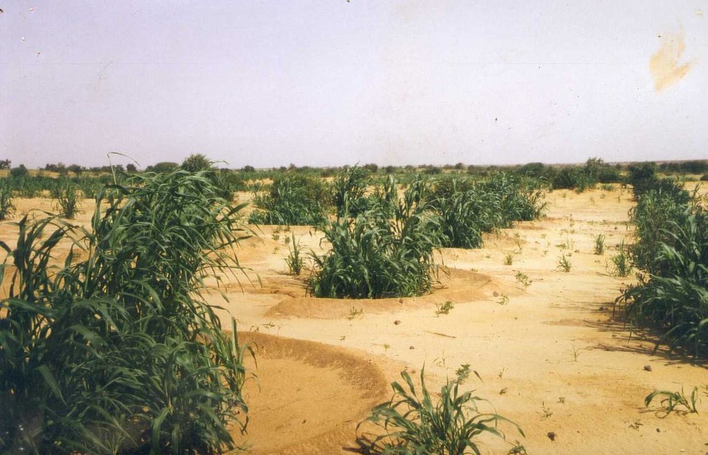 Semi-circular bunds