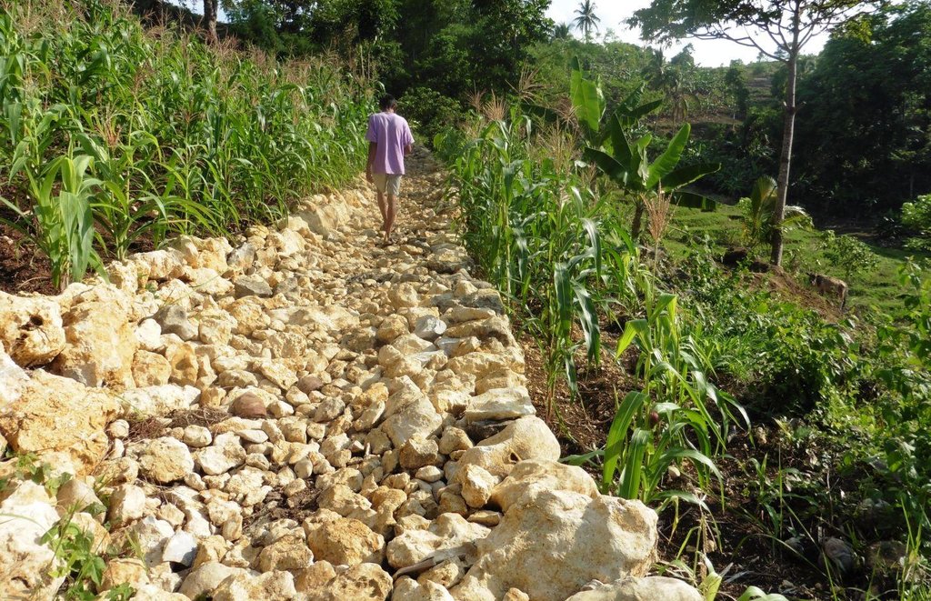 Rockwall Terracing