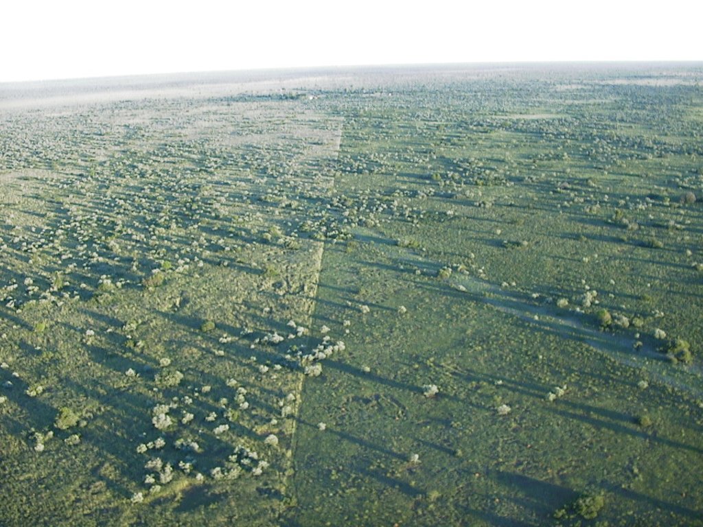 Split Ranch Grazing Strategy