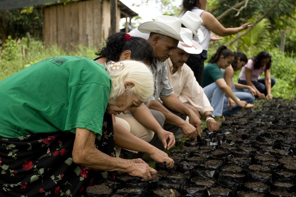 Community protection of microbasins through reforestation