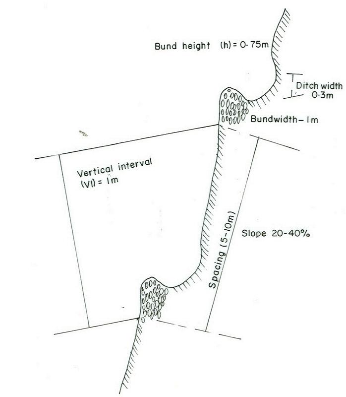 Haraghie Stone Bund