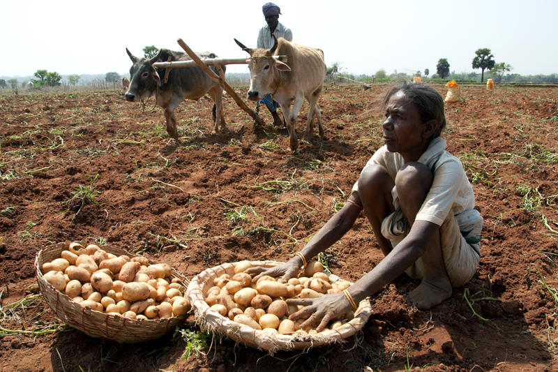 FAO-UNCCD Joint Initiative on Land Tenure: First group of countries selected for national consultations