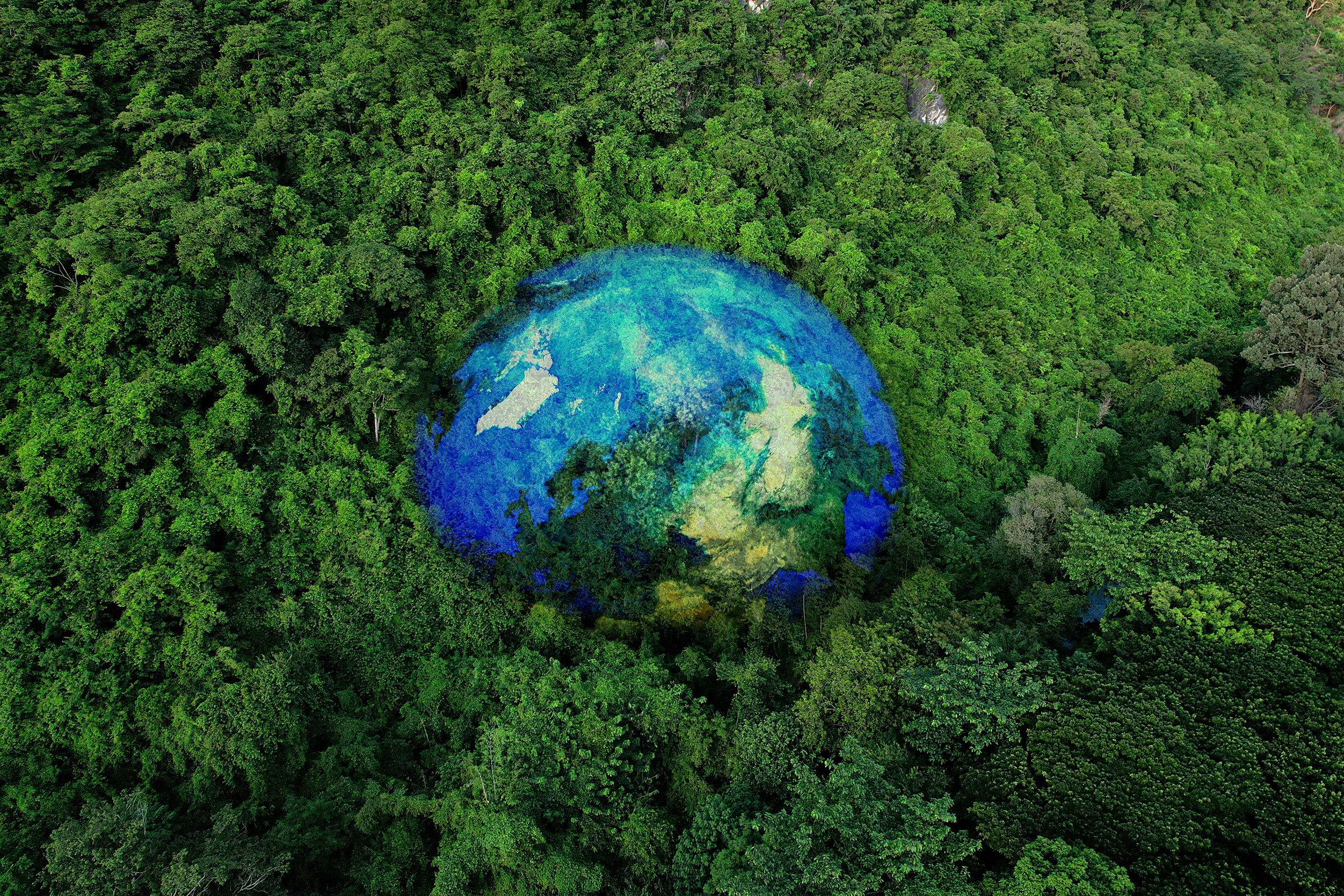 forested globe