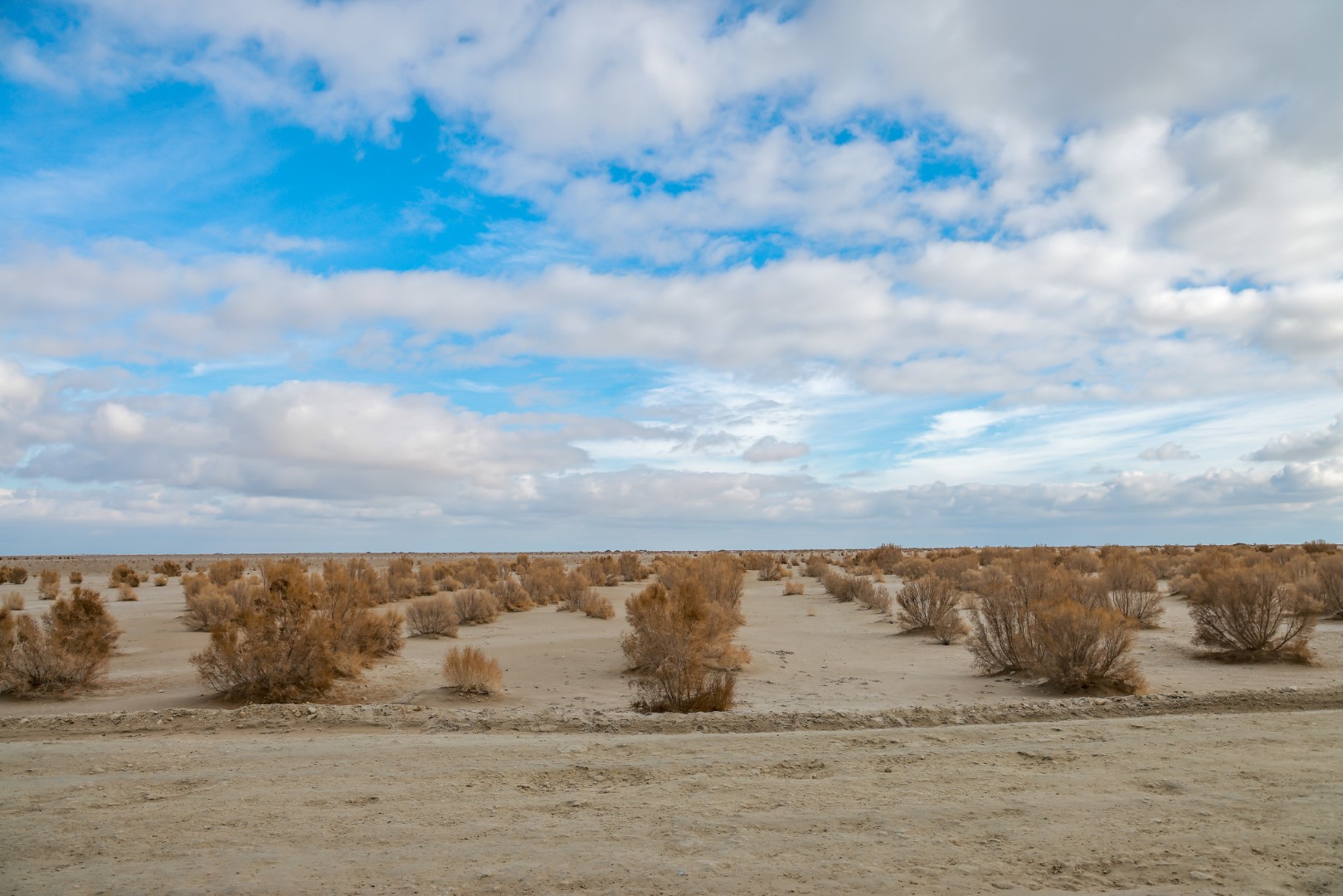 Aral sea