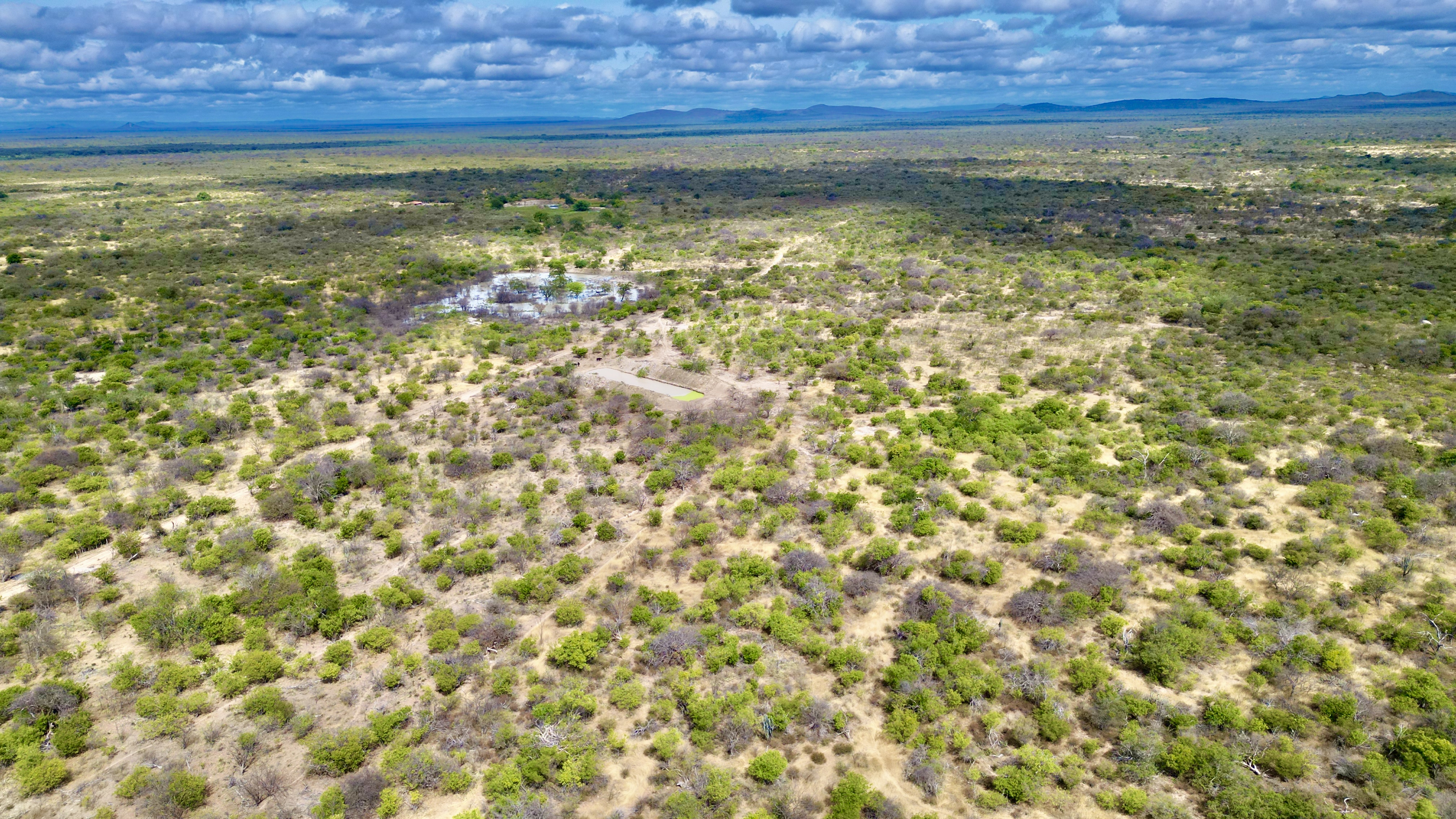 Brazil: lessons in resilience from the world’s most populated dryland