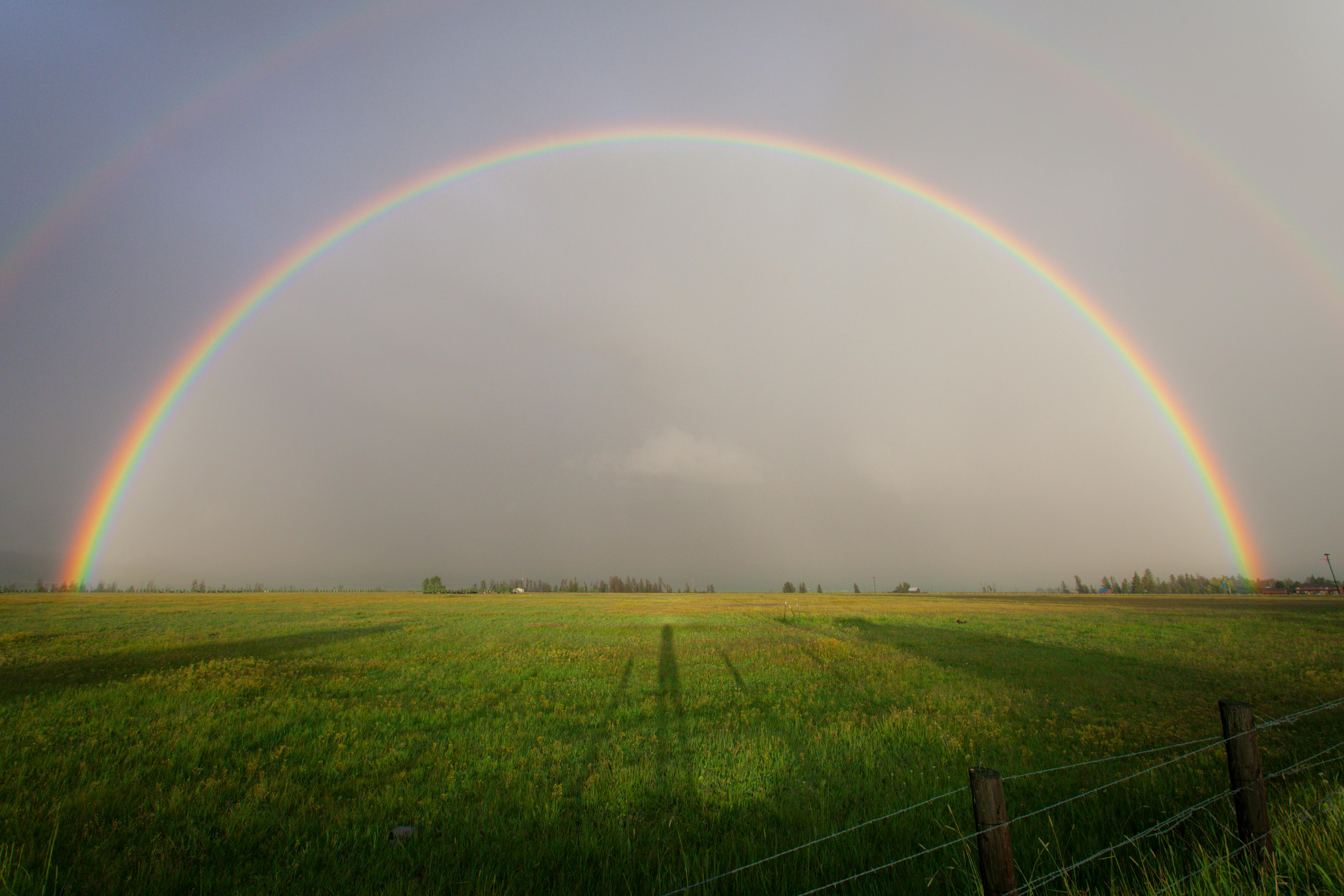 Planetary boundaries: Confronting the global crisis of land degradation