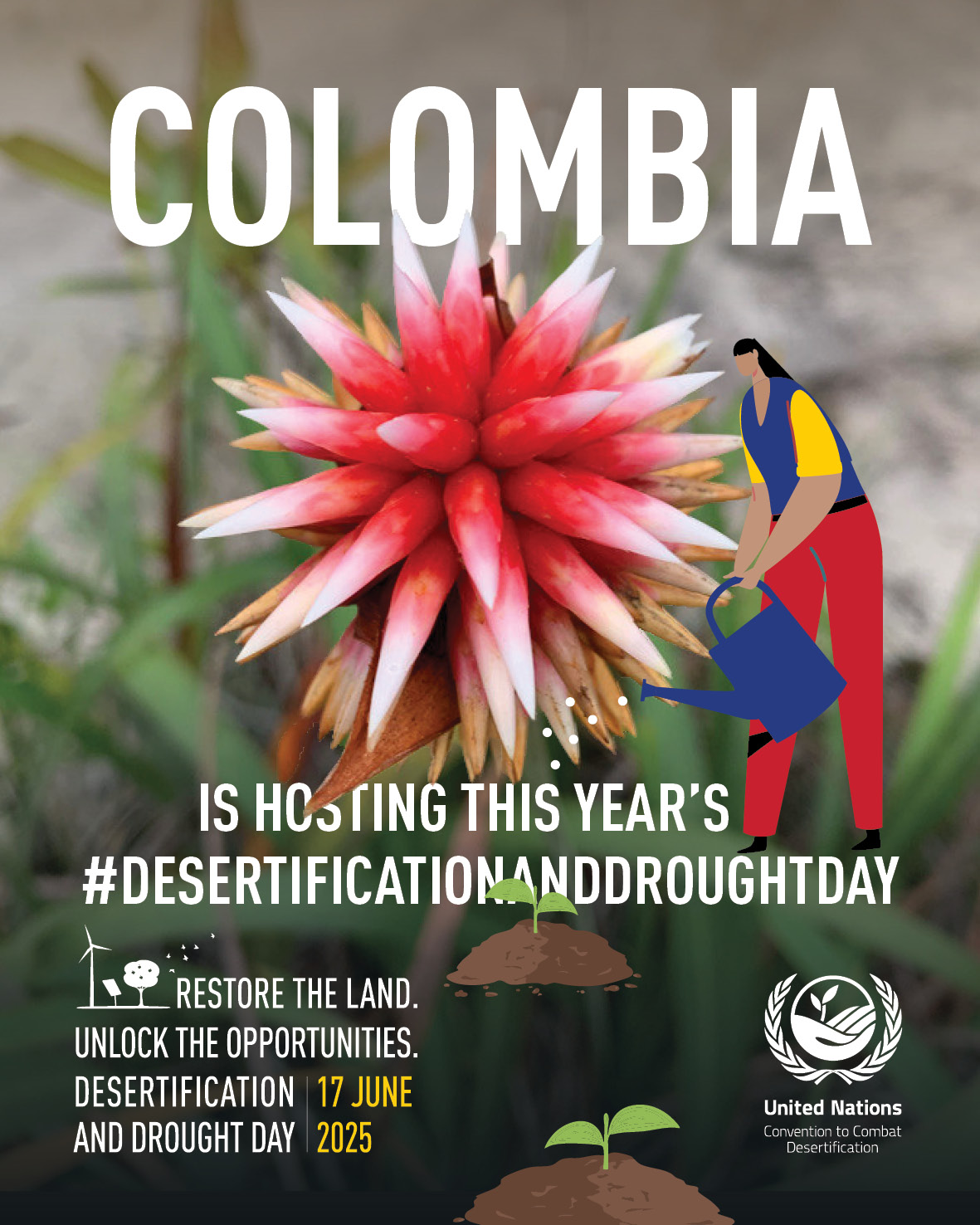 DDD2025 Colombia.jpg
