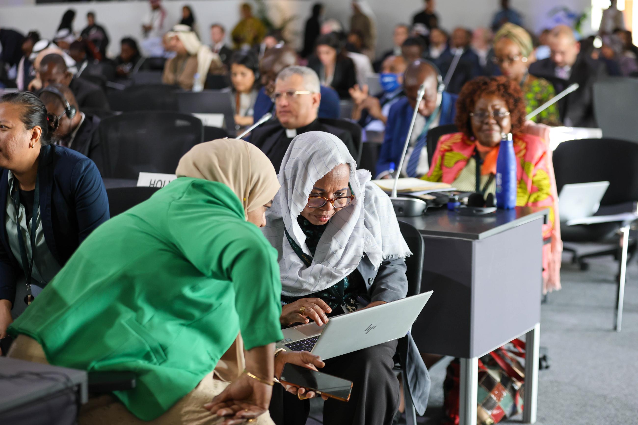 Civil society to help shape UNCCD post-2030 strategy 