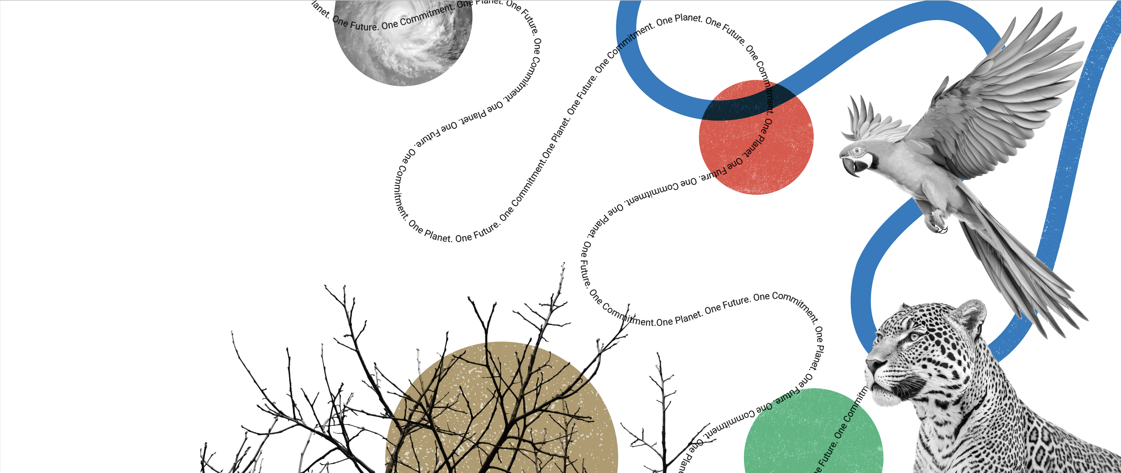 Rio Synergies website banner