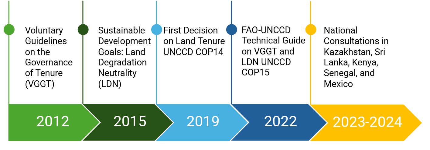 land-tenure-vggt-timeline.png