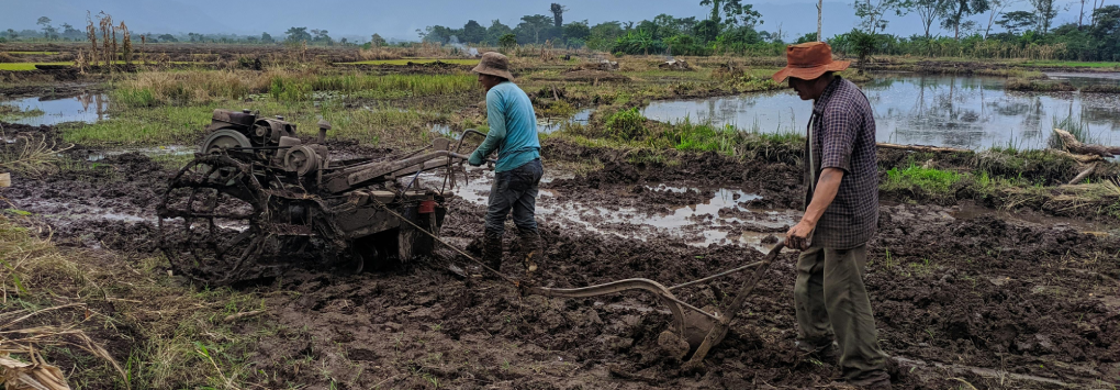 men ploughing the field in Peru