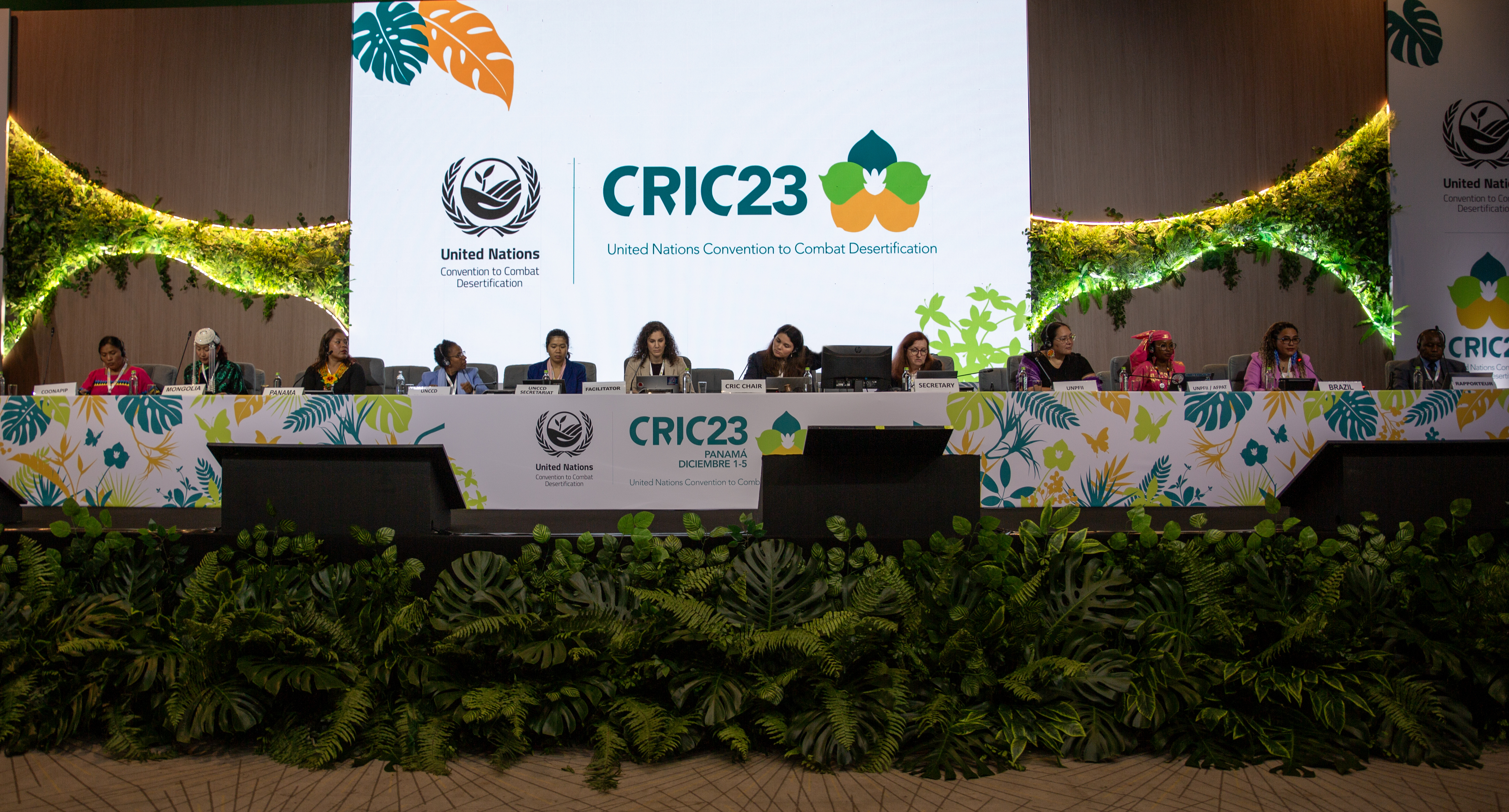 CRIC23 gender caucus panel