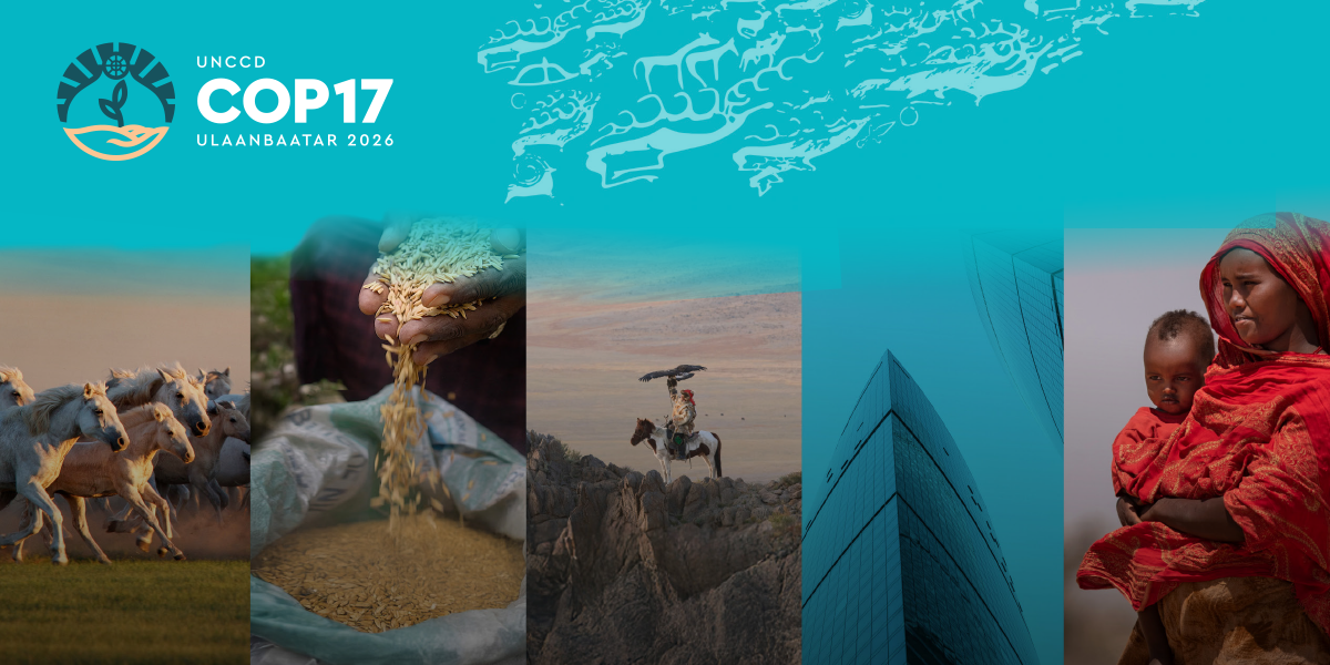 COP17 hero banner themes