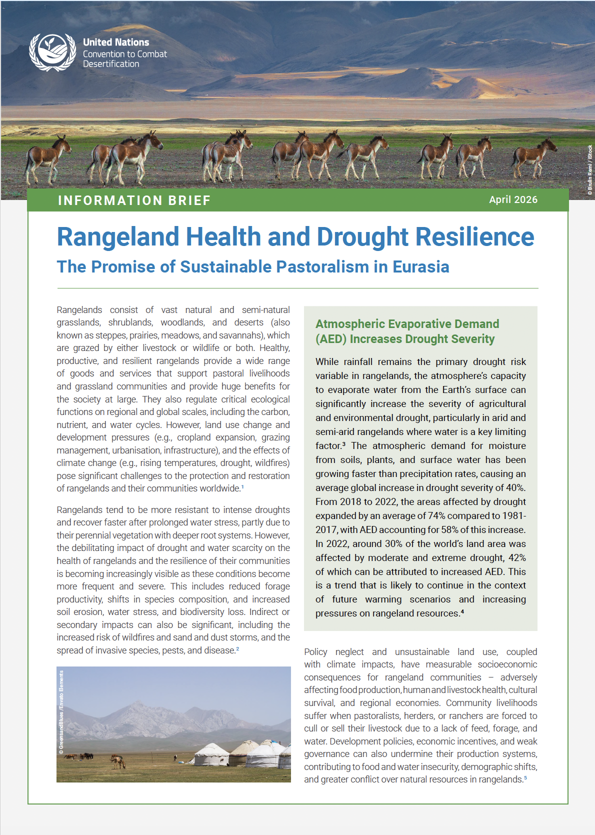 Eurasia rangelands brief