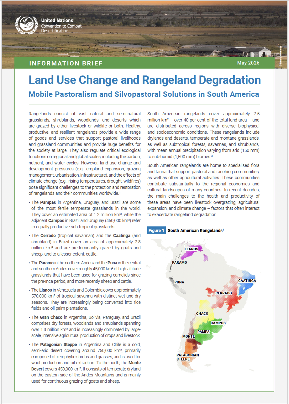 South America rangelands info brief