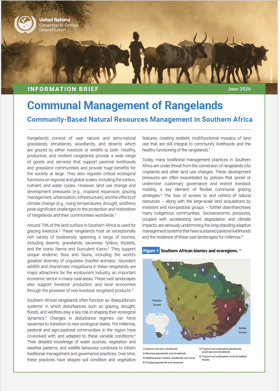 Southern Africa rangelands info brief