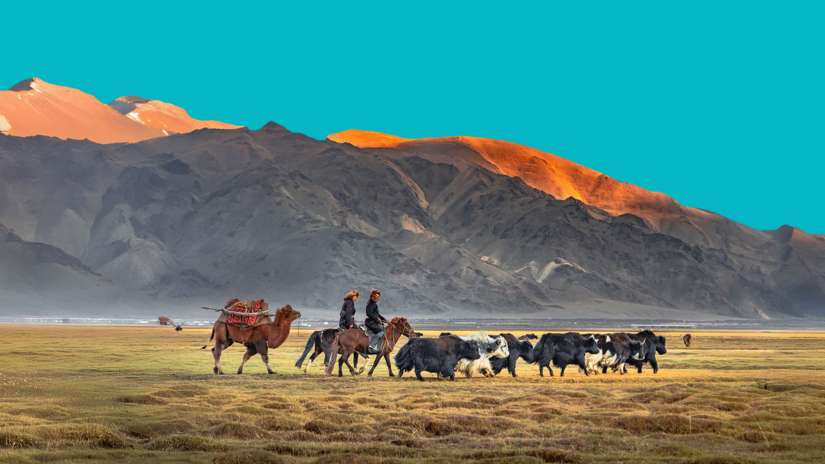 silk road caravan