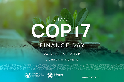 cop17 finance day