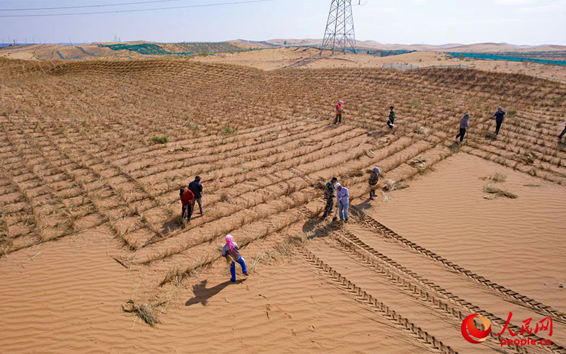 straw checkerboard sand control (SDS toolbox source management)