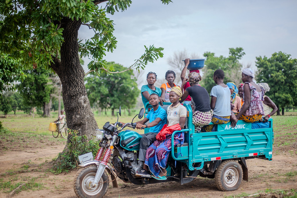 Reversing land degradation: Resilience and restoration in Burkina Faso's shea communities