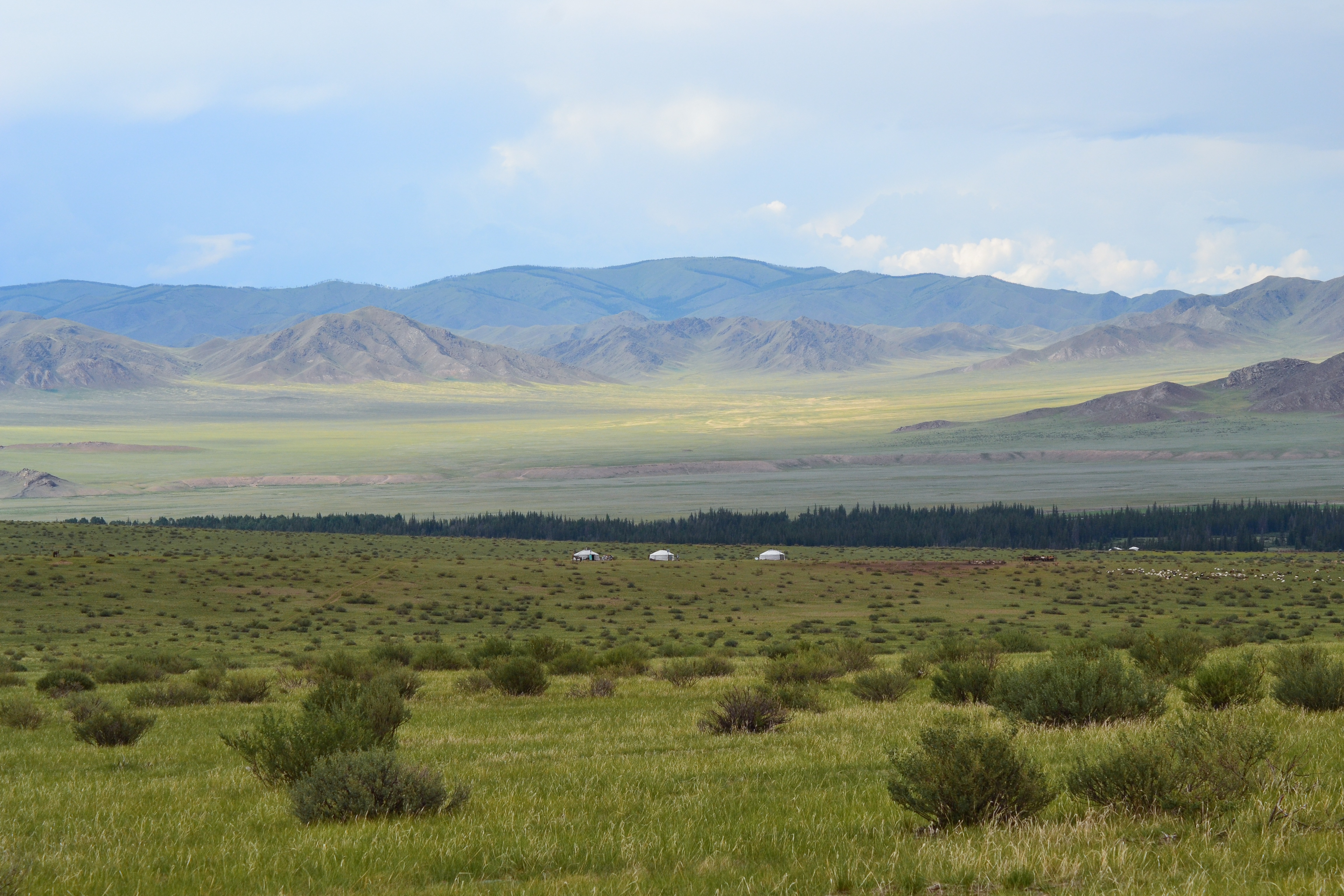 Mongolia steppe
