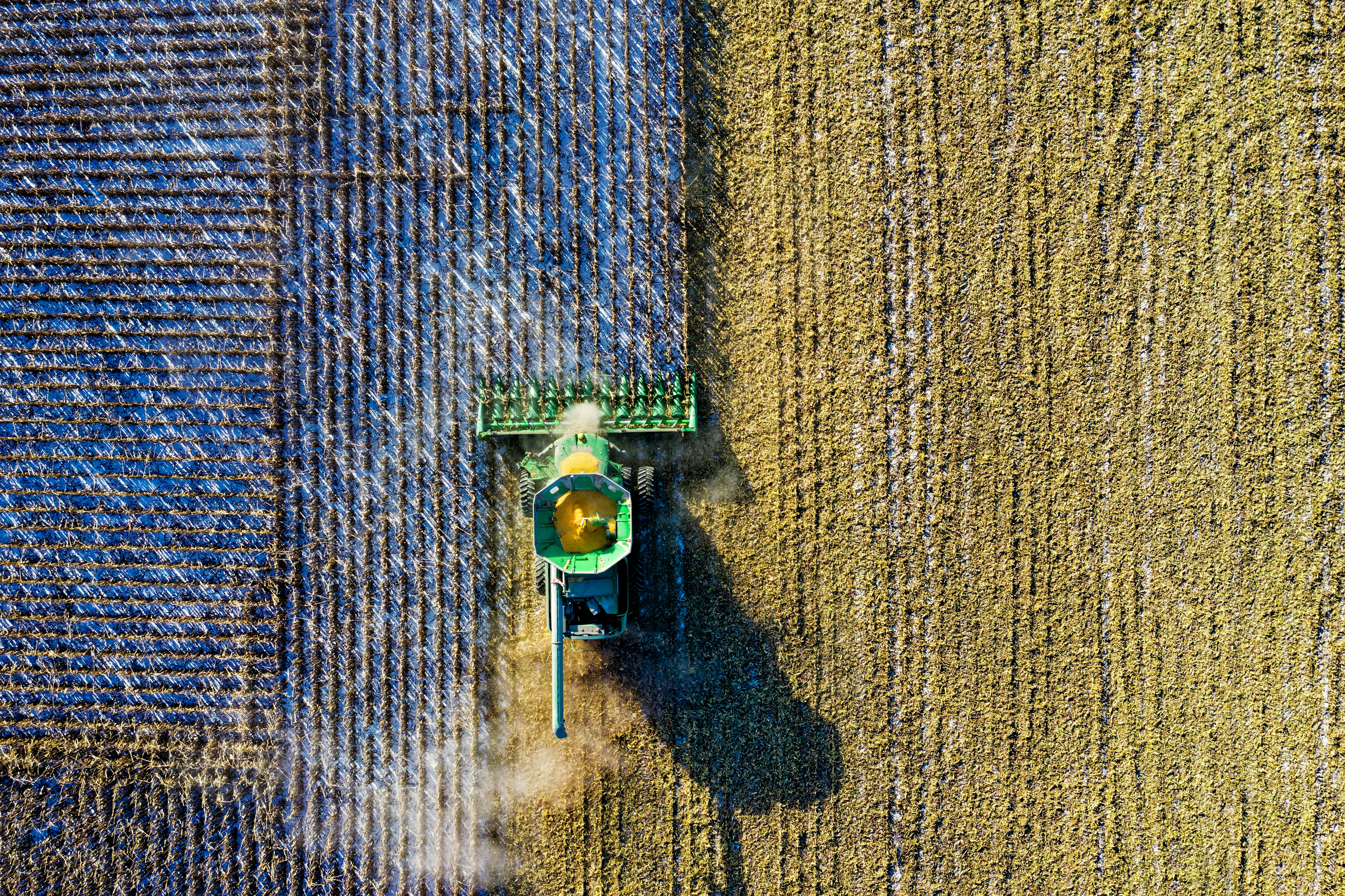 tractor in a field