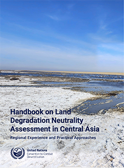 LDN CA handbook cover