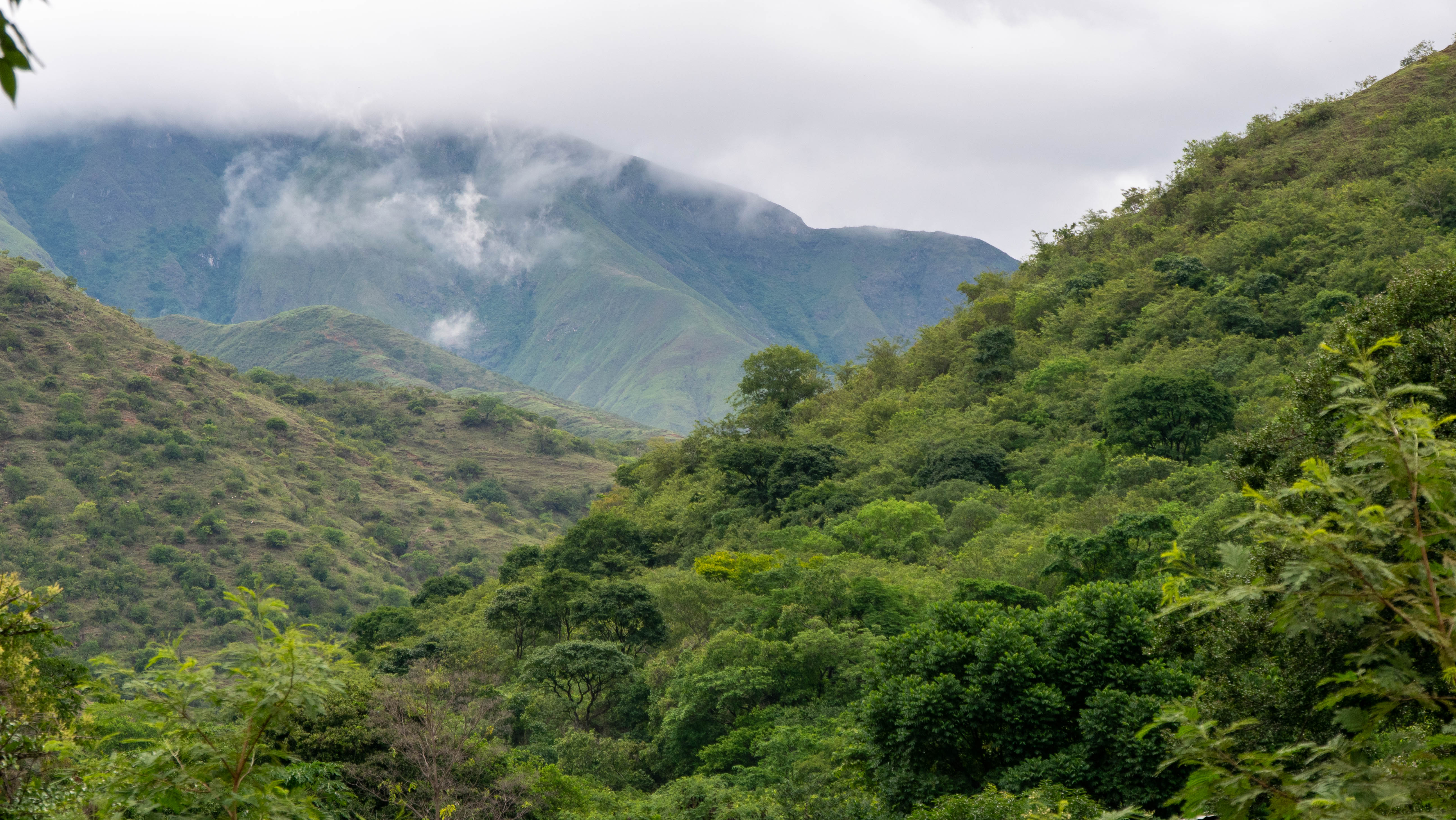 ierra Nevada de Santa Marta in northern Colombia