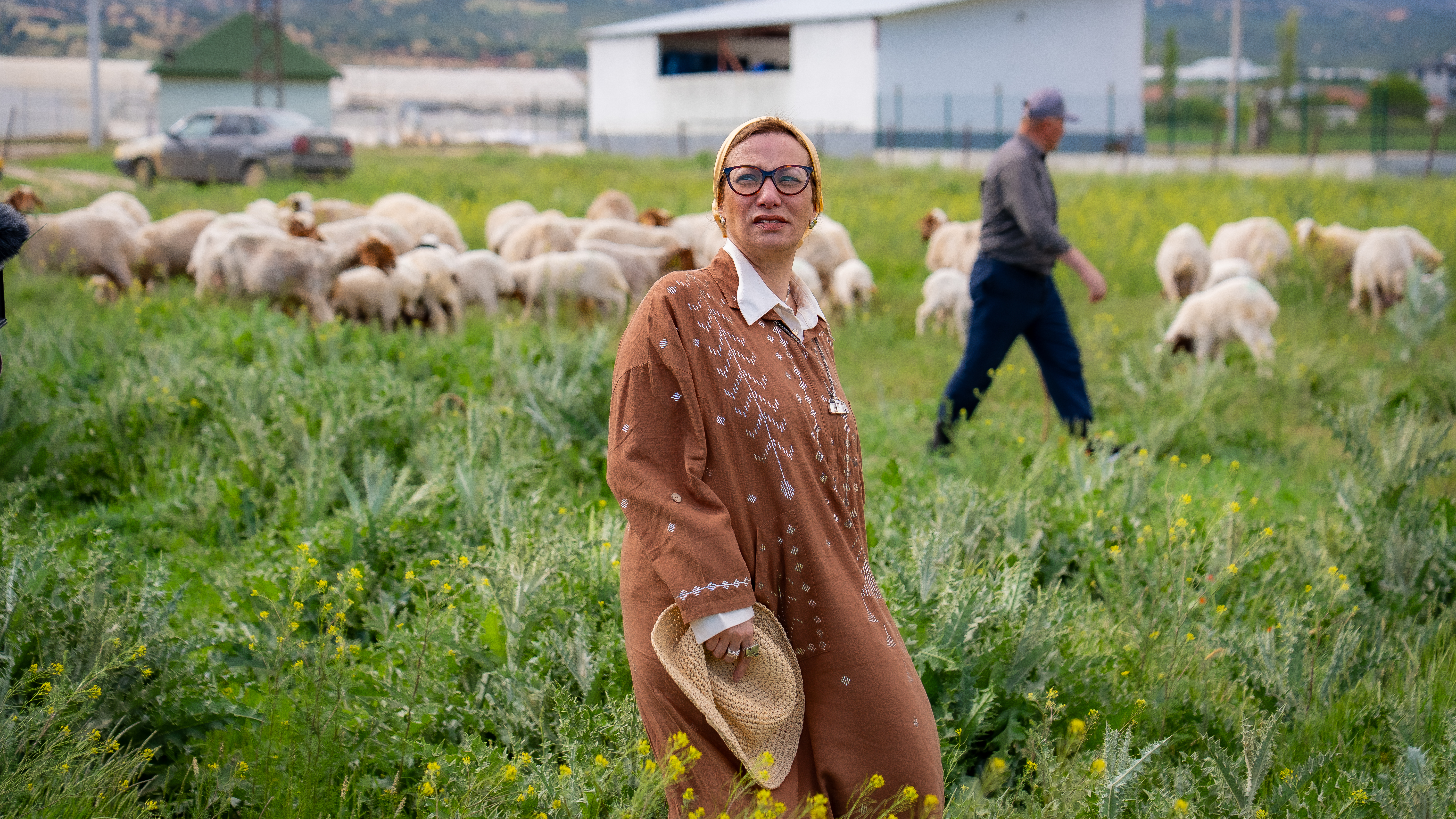 Yasmine Fouad wearing a brown outfit and yellow headscarf stands in a grassy field with sheep grazing behind her.