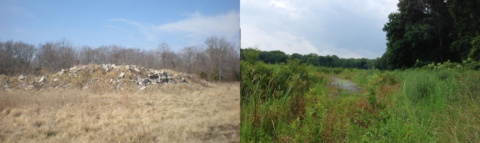 Lizzard Hill