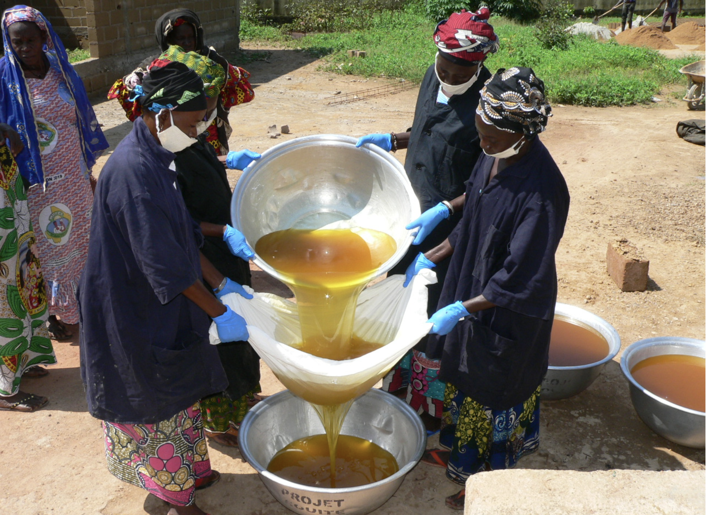 Traditional methods blend with eco-friendly practices for sustainable production