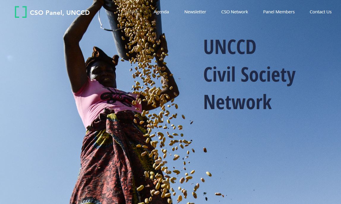 cso panel website