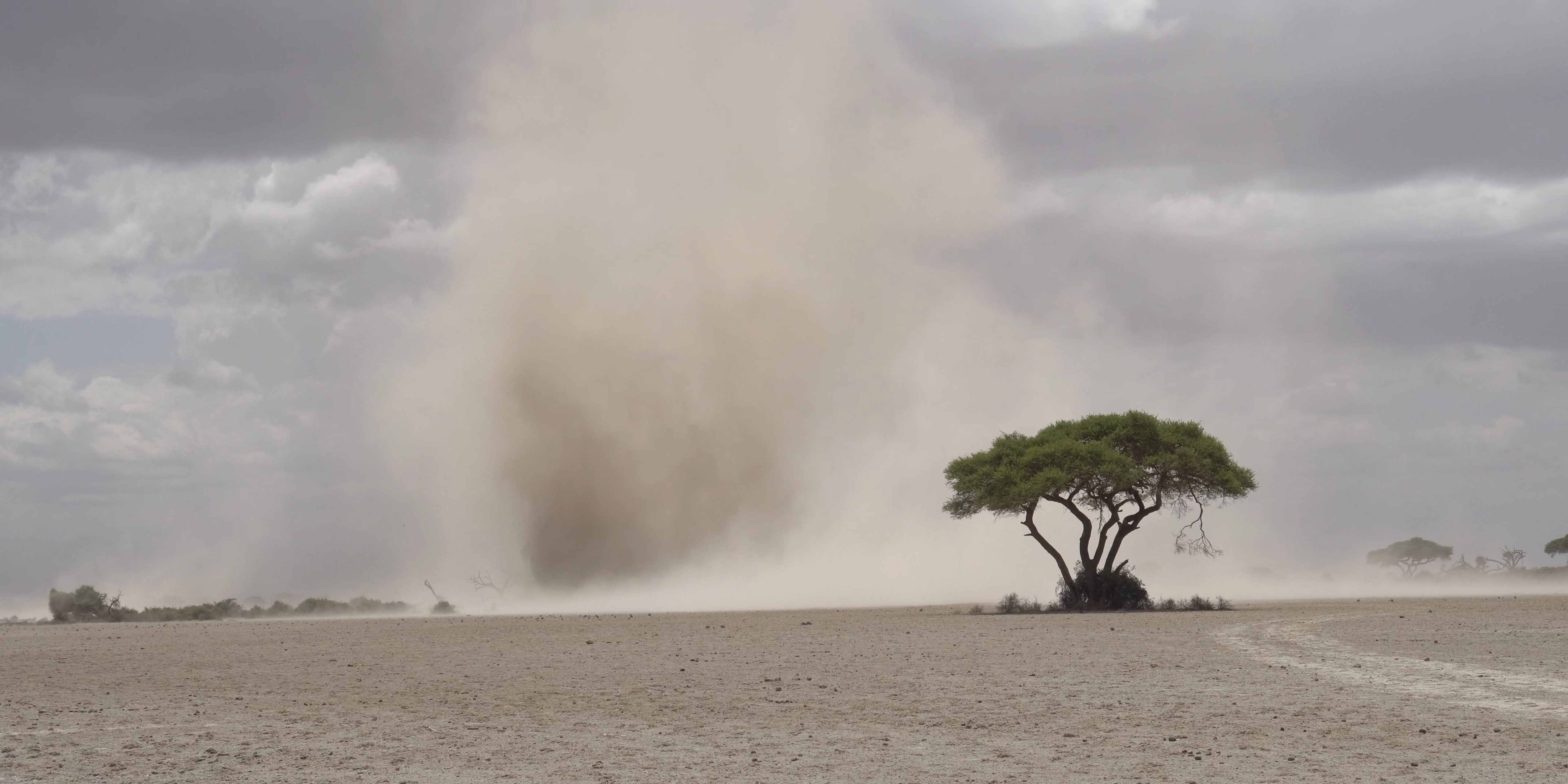 Kenya_Amboseli_Region_Augenstein_2018_5 copy