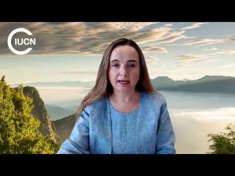 Dr. Grethel Aguilar: Advocating for Women's Leadership in Environmental Policies