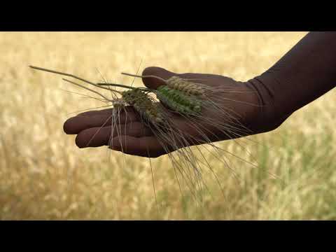 World Day to Combat Desertification 2019