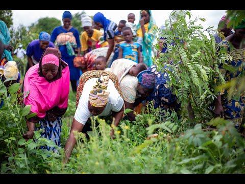 Transforming Livelihoods in the Sahel Region: Lands of Opportunity Project Impact