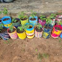 these-plastic-bottles-painted-by-blind-children.jpeg